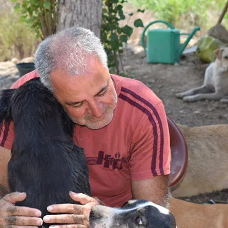 لبناني ينقذ أكثر من 250 قطة وكلب ضال