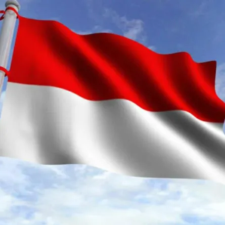 رسميًا.. ماليزيا تعتذر عن طبع علم إندونيسيا «مقلوبًا» في كتاب تذكاري