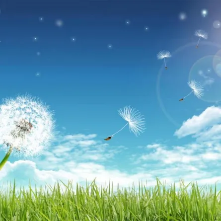 إطلاق أول شاحنة لتنظيف الجو من الغبار