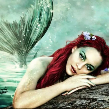 شاهد: شاب يطلب يد حبيبته "عروس البحر"