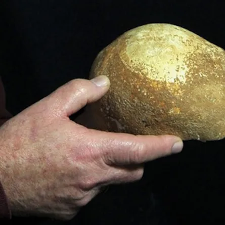 أغرب الجماجم المكتشفة في التاريخ