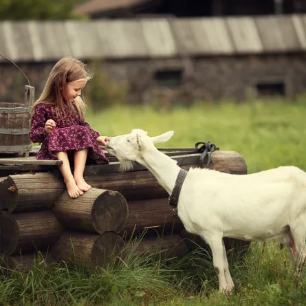 5 أسئلة محرجة يسألها طفلك عن خروف العيد