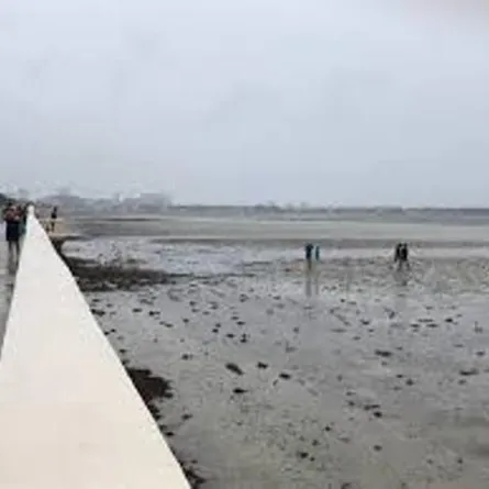 السماء تمطر حجارة في فلوريدا.. وشواطئ المحيط تتحوّل الى يابسة!