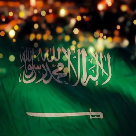 في اليوم الوطني.. أسرار اللون الأخضر