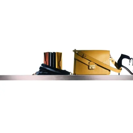 تعرفي إلى حقيبة الآنسة لونشان