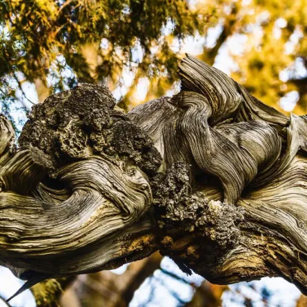 معرضان في متحف الجزيرة للفنون