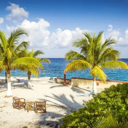 السياحة في المكسيك: "كوسومل" وجهة مفضلة لهواة الغوص واكتشاف أعماق البحار