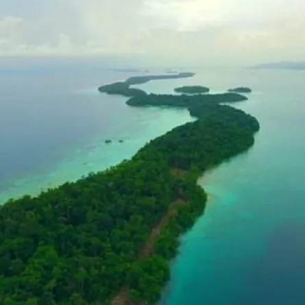 سكان هذه الجزيرة يتعاملون مع أسماك القرش أكثر من البشر