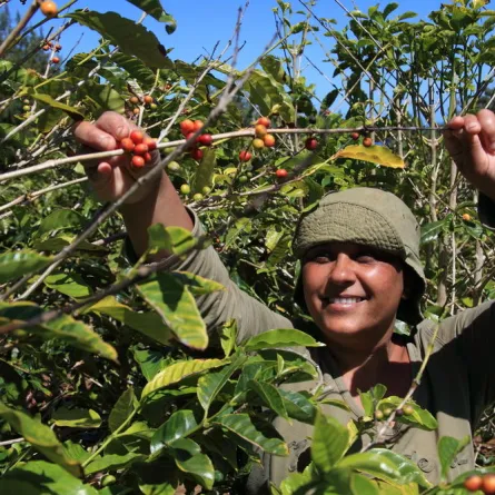 قصة المرأة والقهوة!