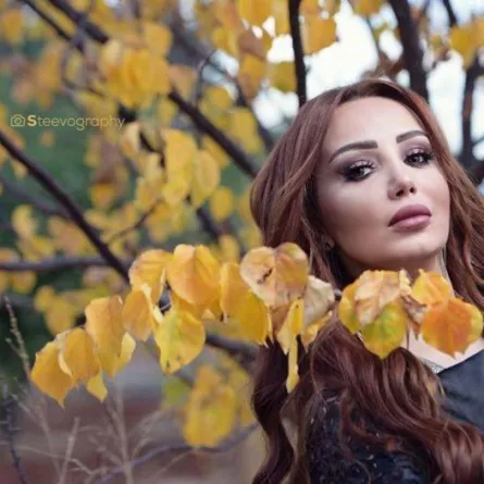 خاص " سيدتي نت "... دينا هارون وطفلها ينجوان من حادث سير مروع