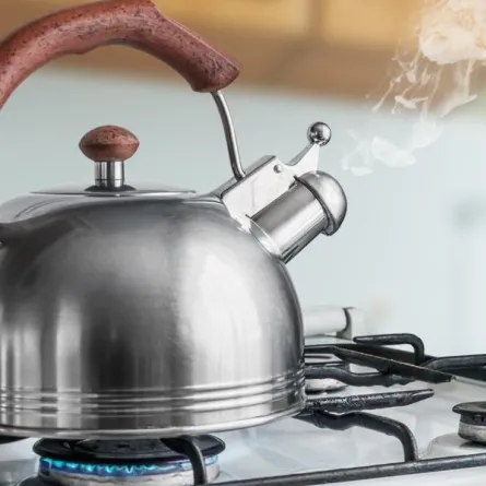 تدبير منزلي: نصائح تنظيف إبريق الشاي