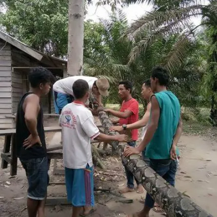 بالصور :معركة مصيرية بين حارس وثعبان "وحش" ..كيف انتهت !!