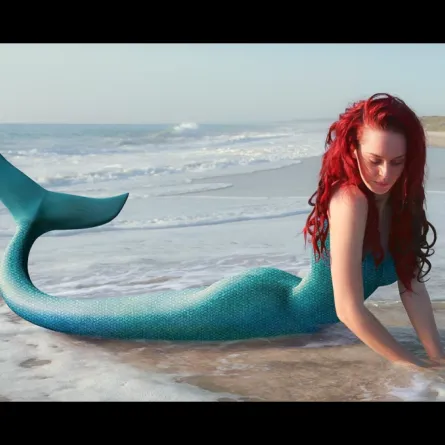 بالفيديو: صدق أو لا تصدق انتشال جثة حورية بحر