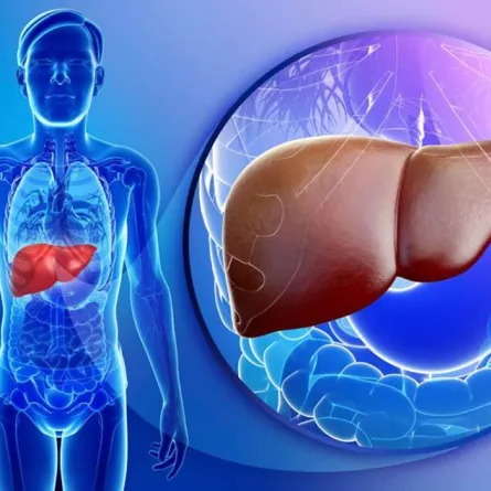 ولاية كاليفورنيا تعيش في هلع بسبب تفشي مرضٍ قاتل