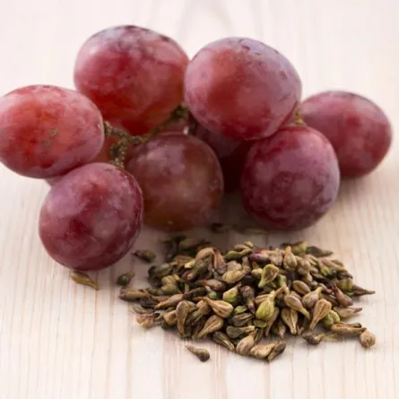 8 أعشاب مفيدة لعلاج العيون