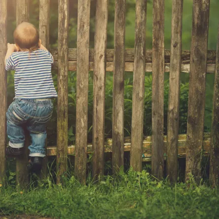 7 طرق لعلاج الطفل الفضولي