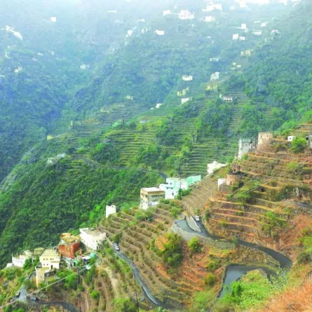 سياحة سعودية: نشاطات وعناوين في جازان