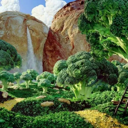 صور.. فنان بريطاني يصنع اللوحات والصور بالطعام!