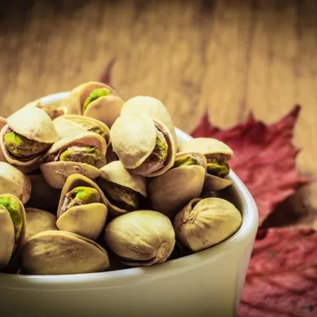 الفستق الحلبي لتحسين الذاكرة