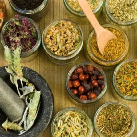 خلطات عشبية تسبب الإجهاض والتسمم 