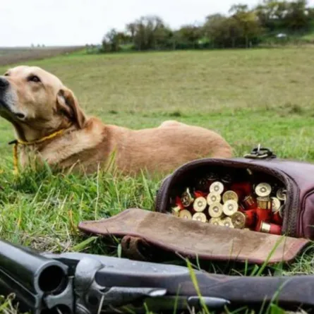 كلب يطلق النار على صاحبه فيقتله