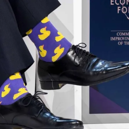 «جوارب البطة» تسرق الأضواء في دافوس