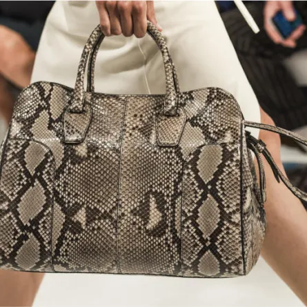 موديلات شنط من مجموعة صيف 2018