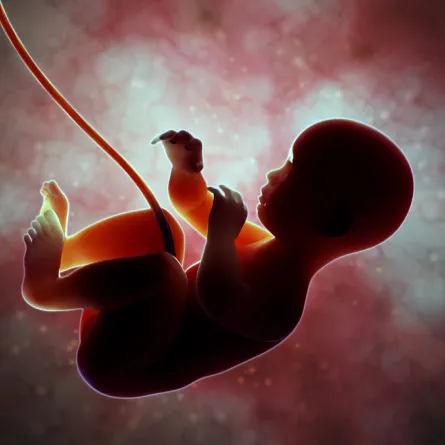 معتقدات خاطئة عن التفاف الحبل السري حول رقبة الجنين