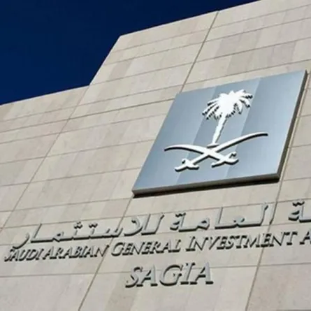 فتح الاستثمار الأجنبي لنشاط وكلاء الاستقدام وتأجير العمالة المنزلية