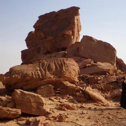 اكتشاف منحوتات صخرية فنية في صحراء السعودية