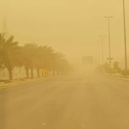 حملة توعوية بالجيوب الأنفية في جامعة خالد