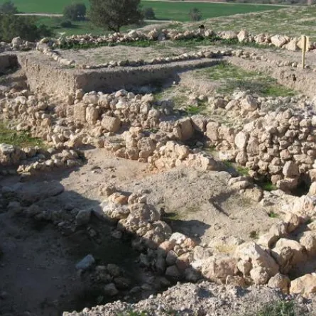 اكتشافات مذهلة من المستعمرات القديمة