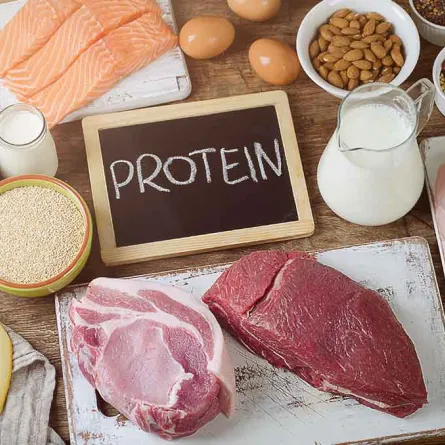 قلّلوا من تناول البروتينات لتقليص أورام السرطان