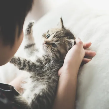 تصرفات غريبة يقوم بها الطفل الذكي.. لا تتجاهليها