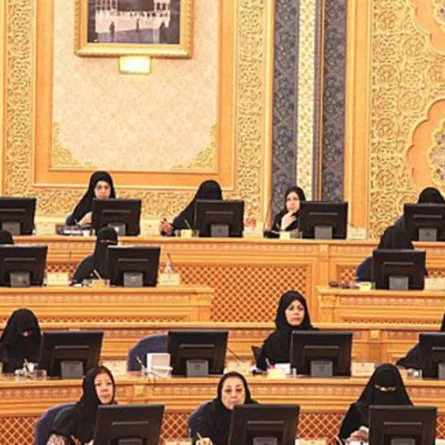 ثمانية مواد لقانون التحرش