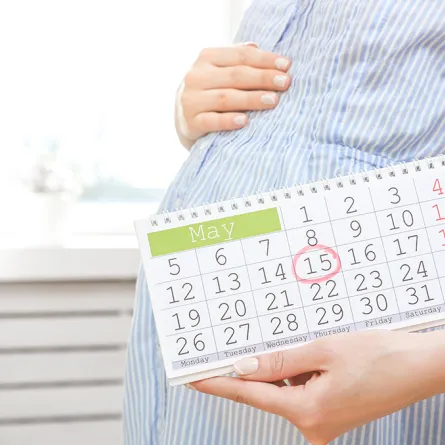 حاسبة الحمل وموعد الولادة