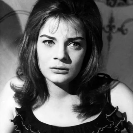 جائزة الدولة التقديرية للفنانة نادية لطفي والموسيقار محمد سلطان