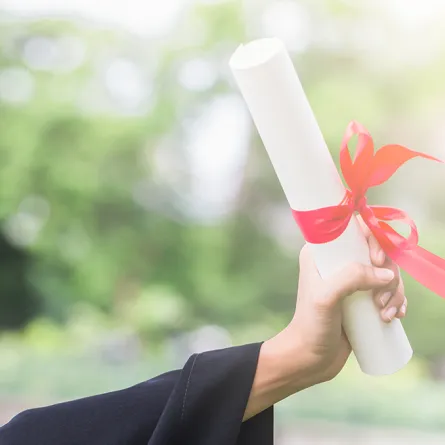 لماذا لا تعد الشهادة الجامعية كافية في الوقت الحالي؟