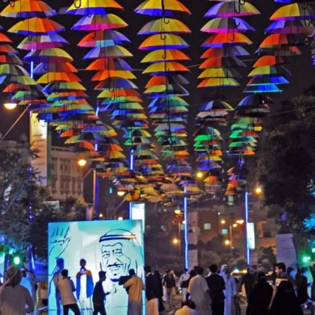 هيئة الثقافة تنظم الأيام الثقافية في أبها