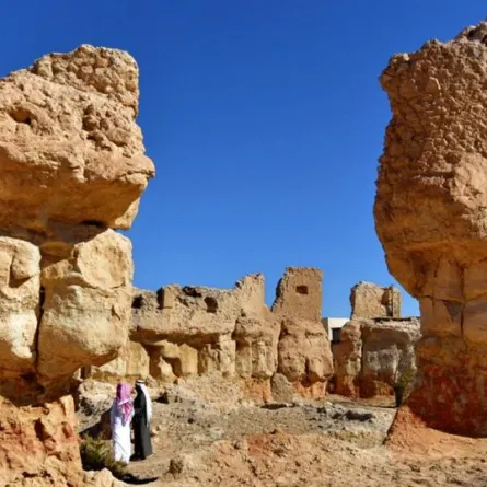 تسجيل واحة الأحساء في قائمة التراث العالمي 