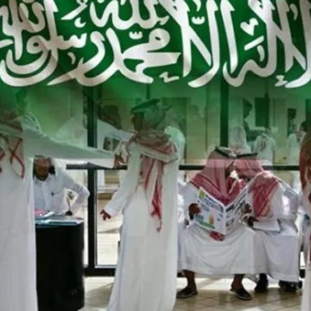 توجيه بتوطين 3 قطاعات في المنطقة الشمالية