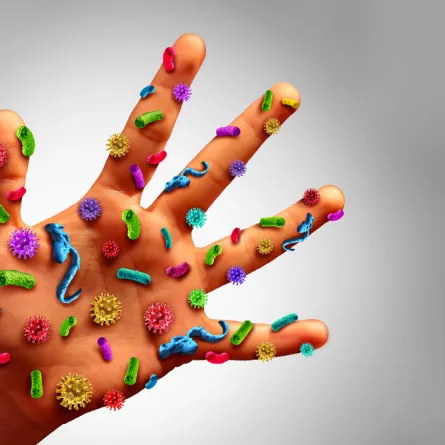 لماذا تكون مناعة الطفل الثاني أقوى من مناعة الطفل الأول؟