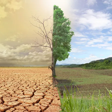 الاحتباس الحراري.. يهدد العالم بتقلّبات مناخية شديدة