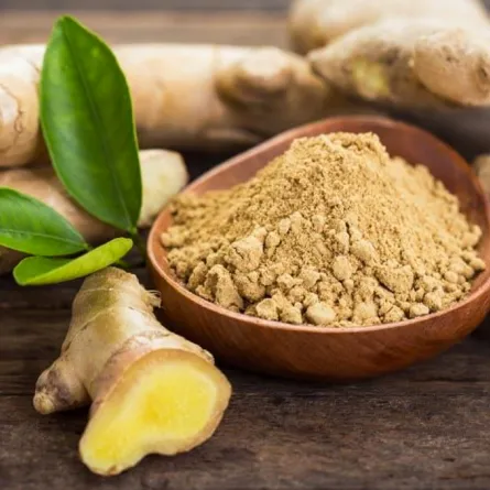 فوائد الزنجبيل الحديثة المثبتة علمياً