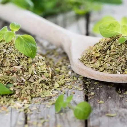 فوائد البردقوش في الرجيم والصحة  