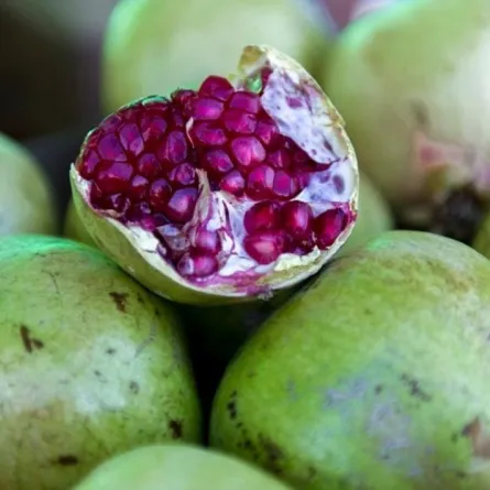 الباحة تستقبل مهرجان الرمان الوطني نهاية الشهر الحالي