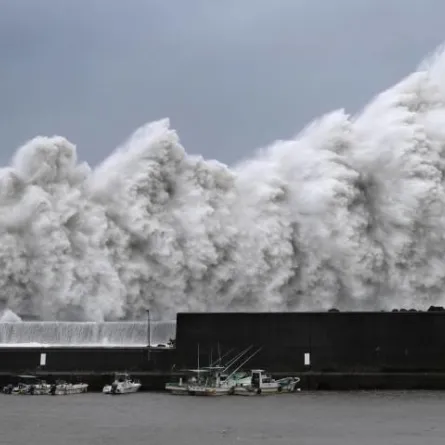شاهدوا اعصار "جيبي" الياباني يلتهم الأخضر واليابس
