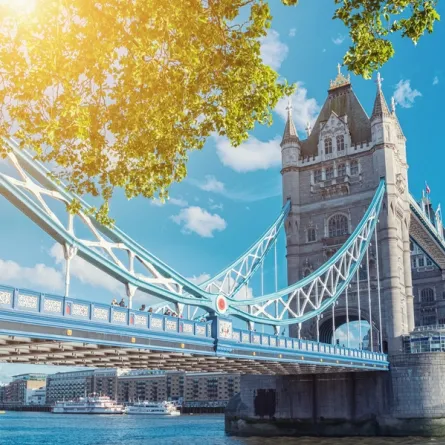 صور: أكثر الجسور زيارة في العالم