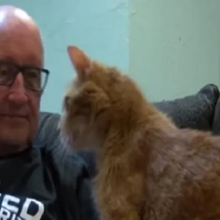 وظيفة الأحلام.. التقط صورًا مع قطط وتلقى 30 ألف دولار في يومين