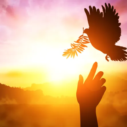 اليوم العالمي للسلام.. حلم يراود سكان العالم